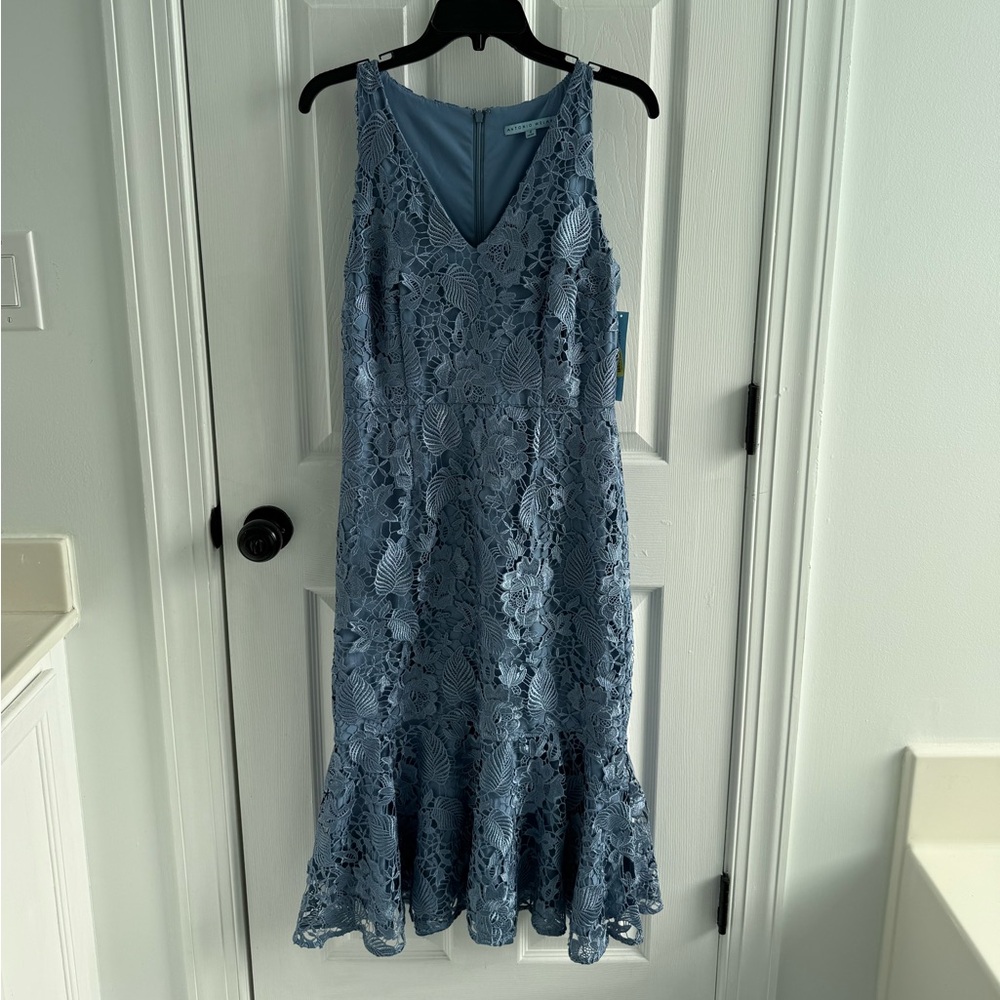 Antonio Melani Elegant Blue Lace Dress NWT